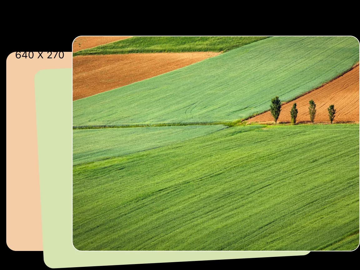 resize_image_batch feature image 2